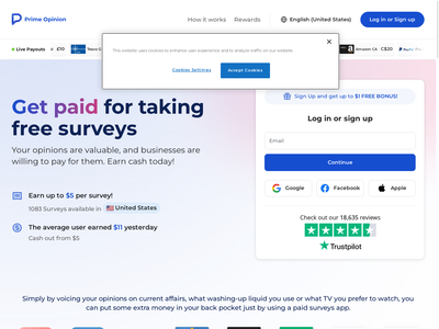 Prime Opinion website screenshot